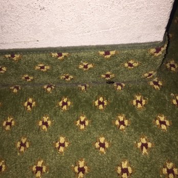 Quality Inn Near Amish Country - More dead bugs - Hotels Near Me - Rushville, Indiana Quality Inn Near Amish Country - More dead bugs - Hotels Near Me - Rushville, Indiana