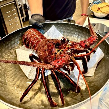 Holbox - Langosta al Carbon (Market Price) they weigh them and cook them fresh. - Latin American Near Me - Los Angeles, California Holbox - Langosta al Carbon (Market Price) they weigh them and cook them fresh. - Latin American Near Me - Los Angeles, California
