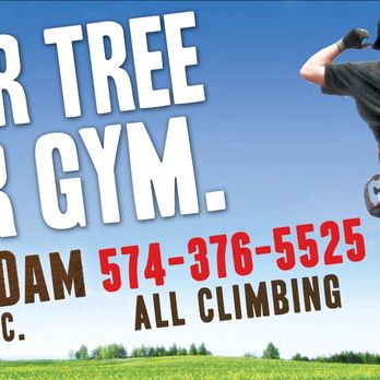 Beaver Dam Tree Service - Tree Services Near Me - Akron, Indiana Beaver Dam Tree Service - Tree Services Near Me - Akron, Indiana