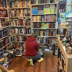 The Book Garden - Soliel checking out the teen section.