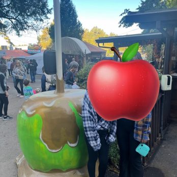 High Hill Ranch - Cute photo opt - Donuts Near Me - Placerville, California High Hill Ranch - Cute photo opt - Donuts Near Me - Placerville, California