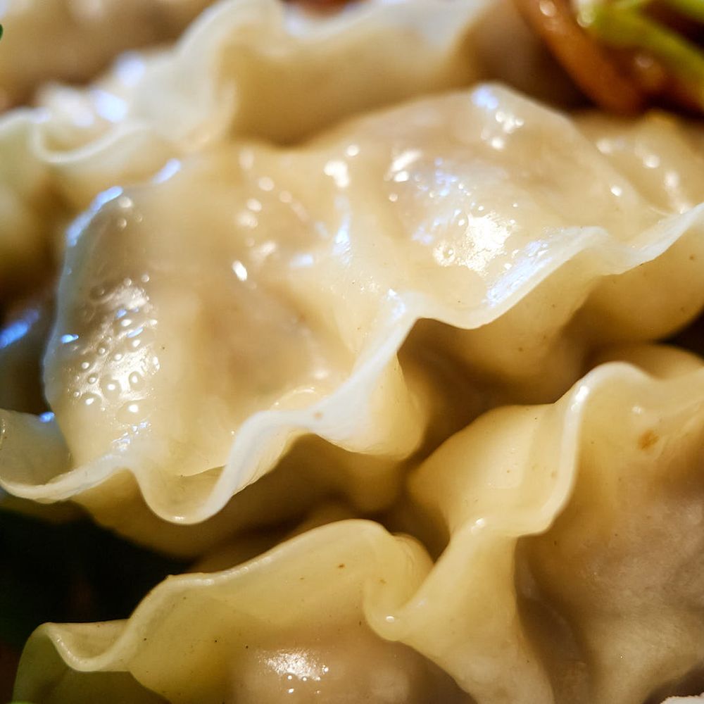 Sweet Corner Cafe - House made gyoza (plate includes five gyoza and a carb) - Comfort Food Near Me - Aiea, Hawaii Sweet Corner Cafe - House made gyoza (plate includes five gyoza and a carb) - Comfort Food Near Me - Aiea, Hawaii