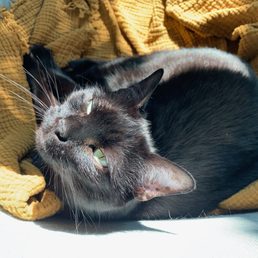 Able to enjoy the sunshine again.
