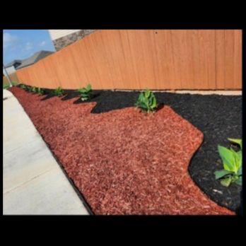 Ernesto Landscaping - Tree Services Near Me - San Antonio, Texas