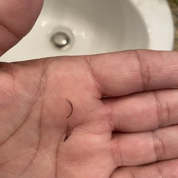 LivBay Lash - Lash that fell off Thankfully I took photos! - Eyelash Service Near Me - Henderson, Nevada LivBay Lash - Lash that fell off Thankfully I took photos! - Eyelash Service Near Me - Henderson, Nevada