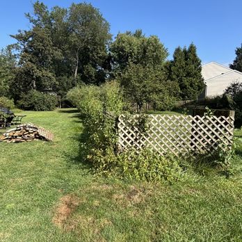 AKA Lawn Care & Design - Tree Services Near Me