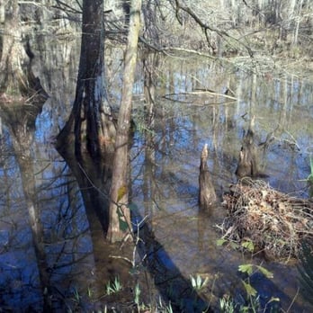 Northlake Nature Center - Parks Near Me - Mandeville, Louisiana Northlake Nature Center - Parks Near Me - Mandeville, Louisiana