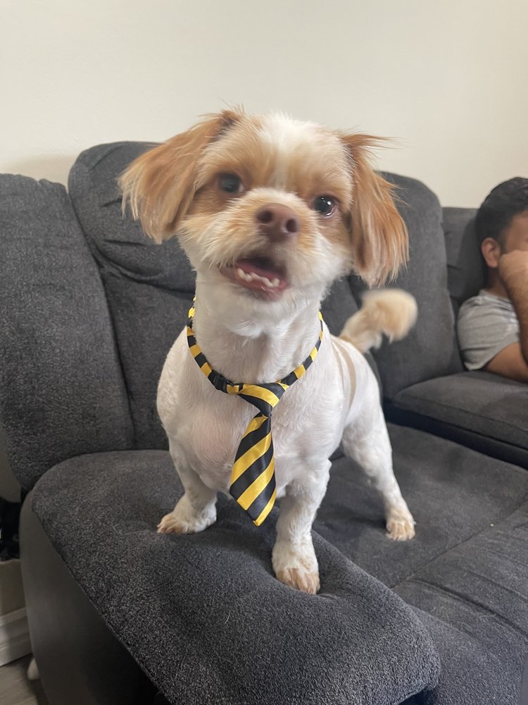 301 Moved Permanently