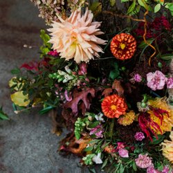 Bird Watching & Pruning Floral