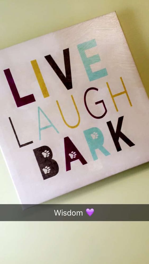 HOME VETERINARY SERVICE Updated October 2024 18 Reviews 125