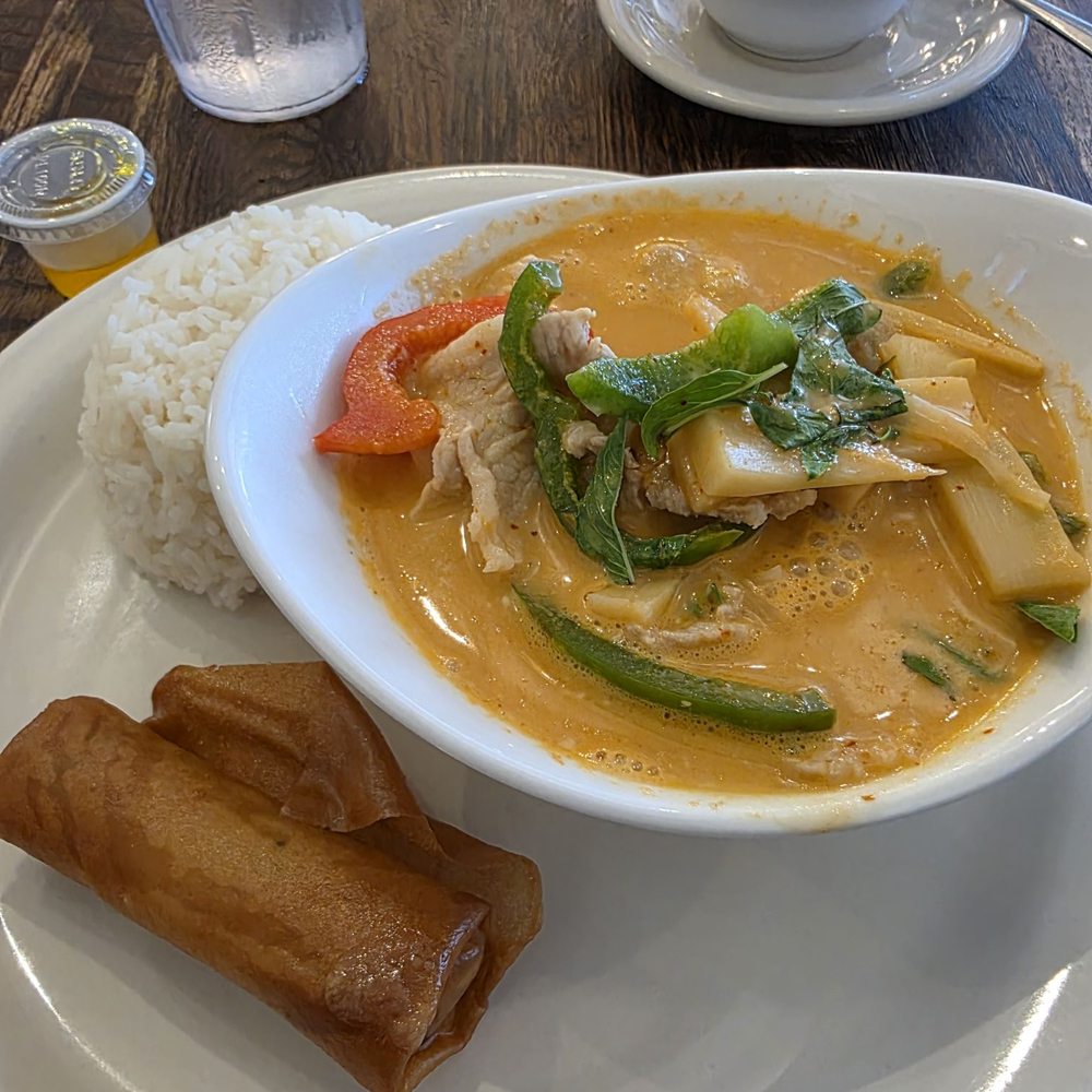 Red curry w/pork, fried spring roll and white rice.