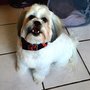 Photo of Au Naturel Dog Spa