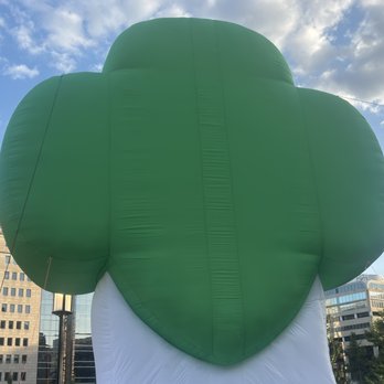 Franklin Park - Nothing like a giant trefoil to let you know the Girl Scouts here! - Parks Near Me - Washington, DC, District of Columbia