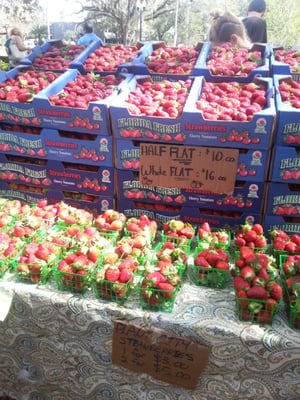 Orlando Farmers' Market by null