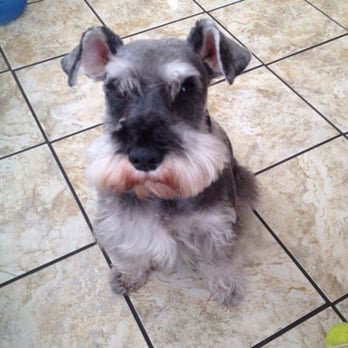 K9 Loft - Pet Groomers Near Me - Los Angeles, California
