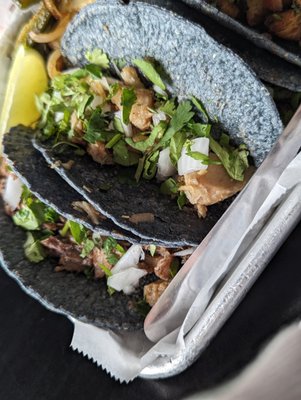 Blue Corn Tacos by null