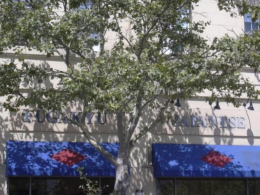 FuGaKyu Japanese Cuisine by null