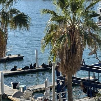 Breathless Cabo San Lucas - Resorts Near Me - Cabo San Lucas, BCS