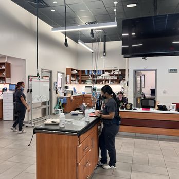 VEG ER for Pets - Staff working - Emergency Pet Hospital Near Me - Stevenson Ranch, California