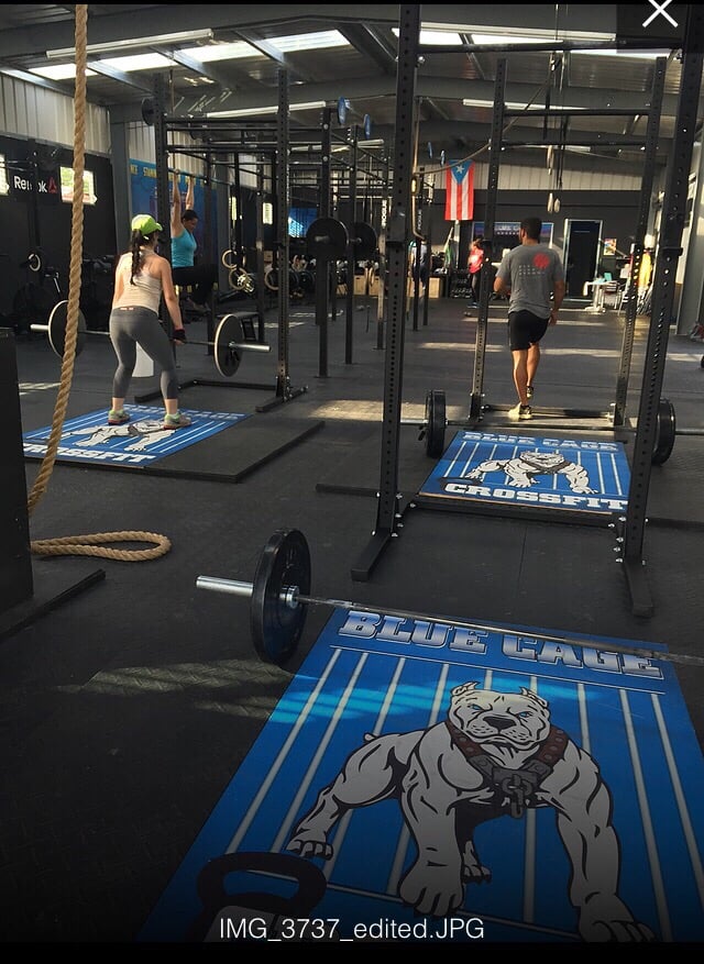 Blue Cage Crossfit Image