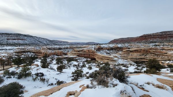 Natural Bridges National Monument by null