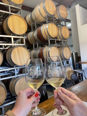 Camins 2 Dreams by null