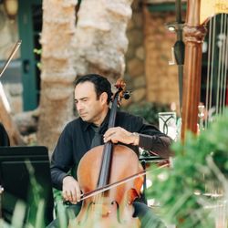 Enchanted Strings By Ashot Dumanyan