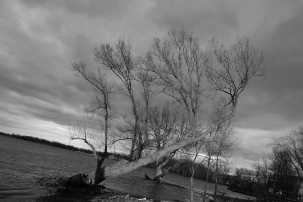 Toronto Island Park Olympic Island by null