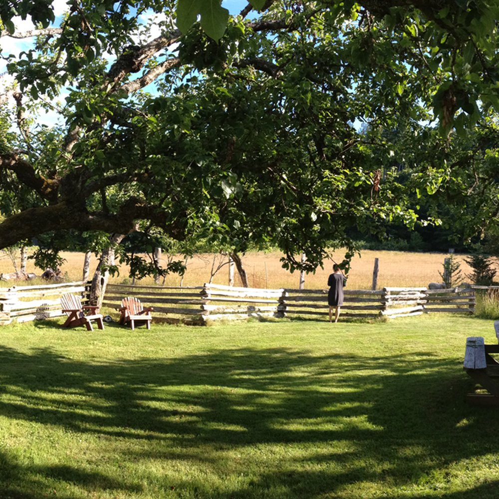 Corbett House B & B - Lovely grounds with apple trees - Hotels Near Me - Sidney, British Columbia Corbett House B & B - Lovely grounds with apple trees - Hotels Near Me - Sidney, British Columbia