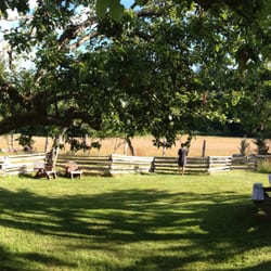 Corbett House B & B - Lovely grounds with apple trees