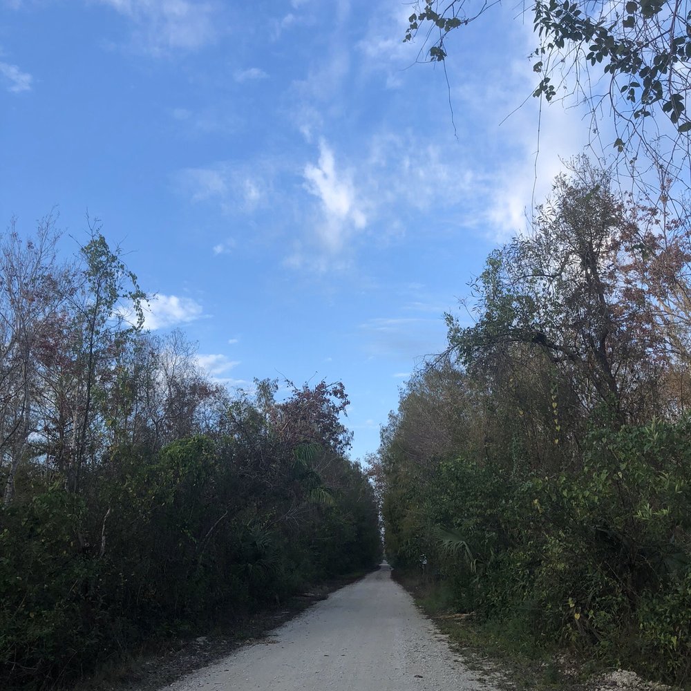 Fakahatchee Strand Preserve State Park - Parks Near Me - Copeland, Florida
