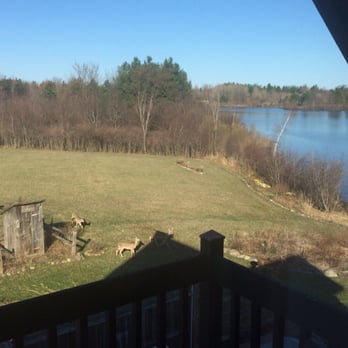 A Dove Nest Bed and Breakfast - View from my balcony. The deer are everywhere. - Bed & Breakfast Near Me - Kingston, Michigan