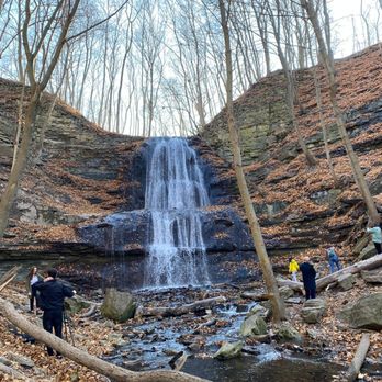 Dundas Valley Conservation Area - Parks Near Me - Dundas, Ontario
