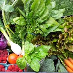 Red Dog Farm - CSA Program