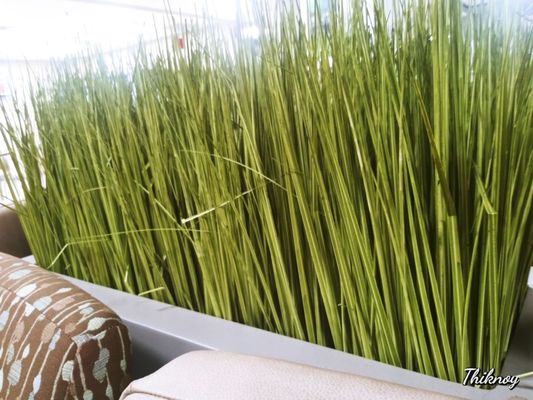 Ascension Saint Thomas Hospital West by null