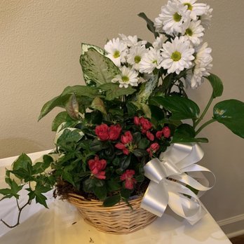 Tomlinson Flowers - Actual delivered plant - Florists Near Me - Mission Hills, California