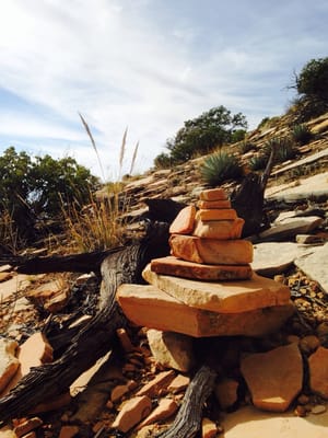 Bear Mountain Trail by null