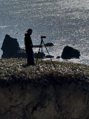 Pigeon Point Light Station State Historic Park by null
