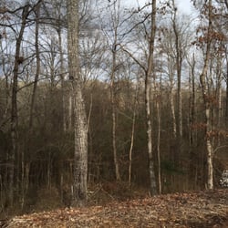 Lorraine Park And Trailhead