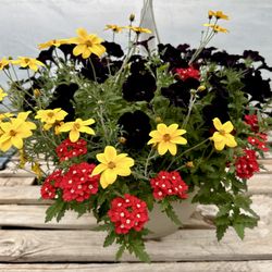 Remus Farms