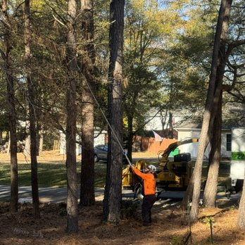 Sussex Tree - Landscaping Near Me - Bridgeville, Delaware Sussex Tree - Landscaping Near Me - Bridgeville, Delaware