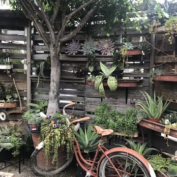 Edwards Greenhouse - Nurseries & Gardening Near Me - Boise, Idaho Edwards Greenhouse - Nurseries & Gardening Near Me - Boise, Idaho