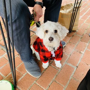 Russian River Vineyards on Yelp