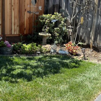 Dream Reality Landscape - a backyard garden with a bird feeder - Landscaping Near Me - Hayward, California Dream Reality Landscape - a backyard garden with a bird feeder - Landscaping Near Me - Hayward, California