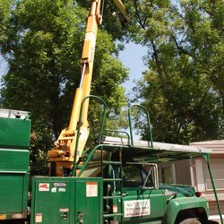 TreeWorks