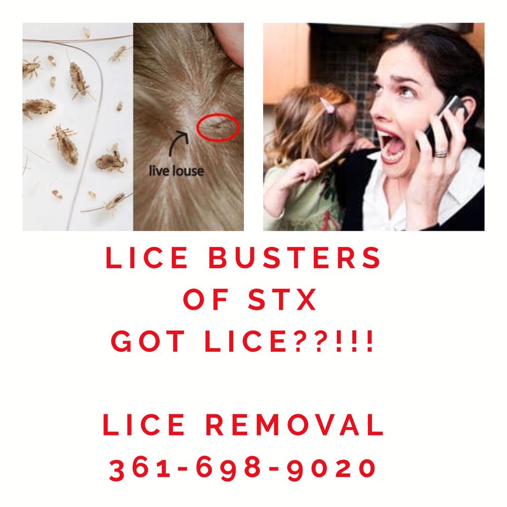 THE LICE ANGELS Updated October 2024 16 Photos 3550 S Alameda