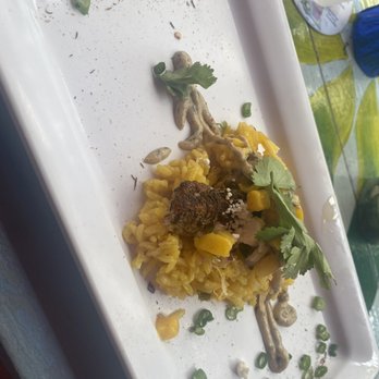 Key West Food Tours - Mahi and rice at kaya island eats - Food Tours Near Me Key West Food Tours - Mahi and rice at kaya island eats - Food Tours Near Me
