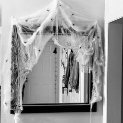 Dollar Tree - Spider webs