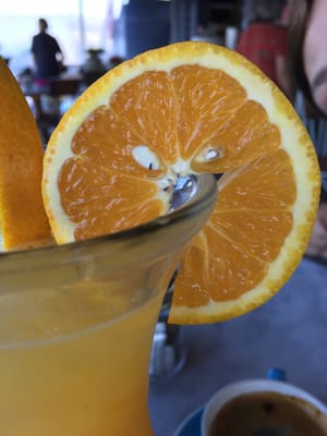 The Boathouse Palm Beach by null