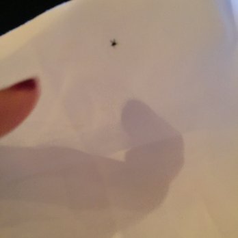 The Crazy Bear Beaconsfield - Crazy Bear Thai in Beaconsfield: for hygiene's sake please do something about the flies. - Hotels Near Me The Crazy Bear Beaconsfield - Crazy Bear Thai in Beaconsfield: for hygiene's sake please do something about the flies. - Hotels Near Me